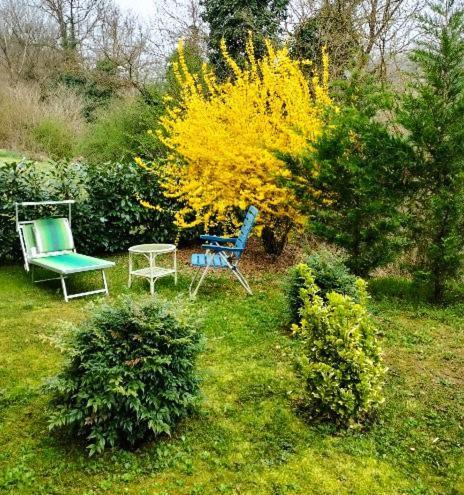 Casa Relax Immersa Nel Verde Della Natura Casalborgone Екстер'єр фото